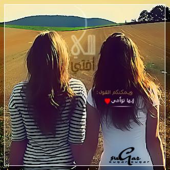 hwaml.com 1336228030 109