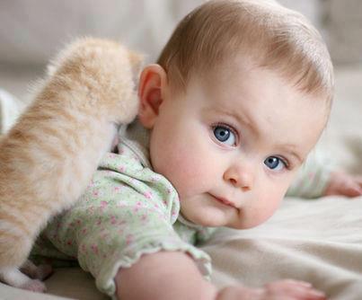 184477 406029376138973 544603643 n