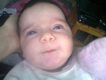 Photos 002