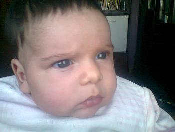 Photos 005