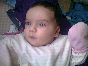 Photos 007