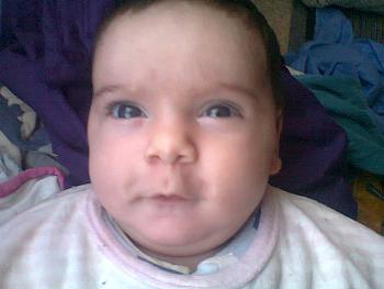 Photos 009