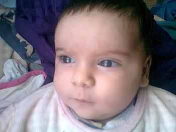 Photos 011