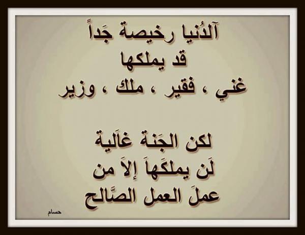 6d10a673a6247f5bc0021b1342c34ec5[1]