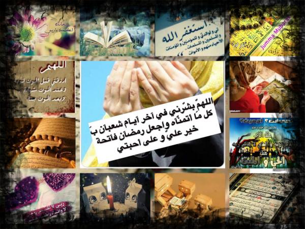 pizap.com14351886644663