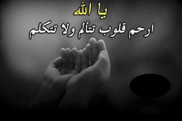 1020 5 or 1419943564