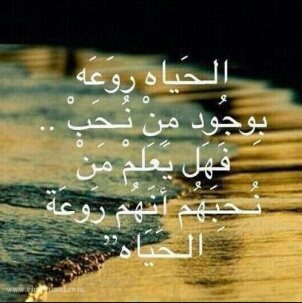 IMG ?�????�??�?�?� ???�??�?�?�