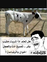 hjnvbhjj,
