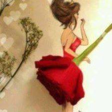 11855762 399120470288611 7994891992350471600 n