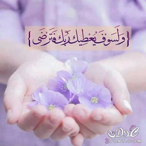 3dlat.net 04 15 8285 11329839 10154891359903647 3243307810535164008 n