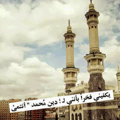 10728910 382364495251522 639401450 n