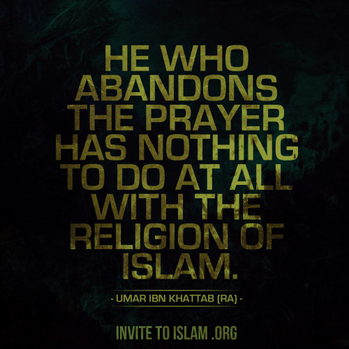 tumblr n79snn4vBt1s4shrvo1 500