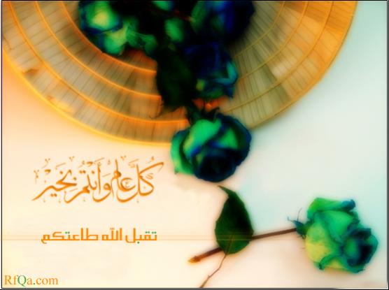 aleed1 2