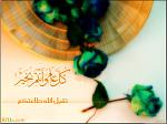 aleed1 2