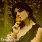 ���  ������  ��  ���������������������