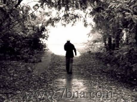 dm33 com love pic (5)