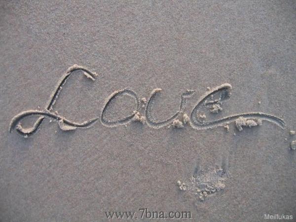 dm33 com love pic (25)