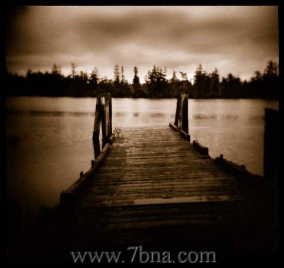 dm33 com love pic (32)