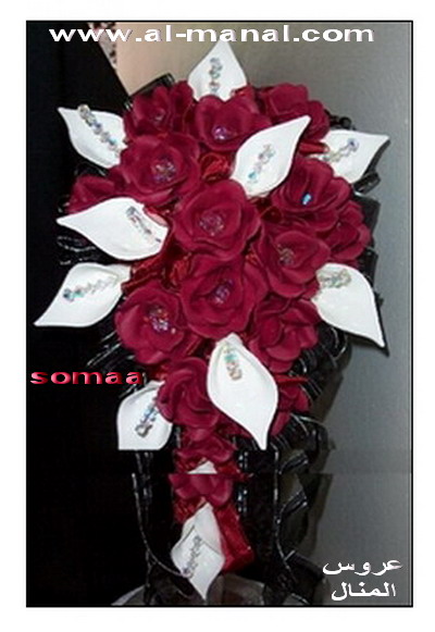 ���� �����