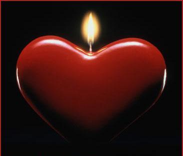 137126 25034469646705eb86