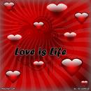 JB4104CAMTLTJSCAQKHTH1CABMKBK4CATSZ2Z3CAXYLUPLCASVEINOCA3I1XB4CAK5C9BKCAJF1S5MCAOXQD2FCALOUCF2CAZMDYSWCAS0BJ07CAB8P4NCCALAAHRVCA4E9B3JCA099461CARFJCS8CAI2WUV6