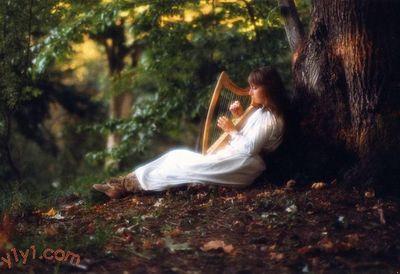 w6w w6w 2005050301423130962432fc2e