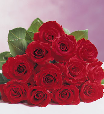 misslove
