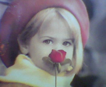 ���� ������