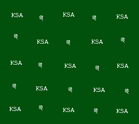 090108035555fd4a1b15