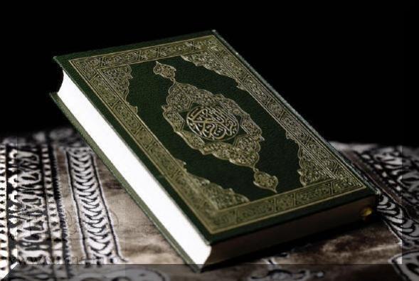 d14c118a9cee2f631a36d940557ef9c8