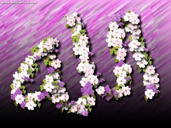 user44971 pic5684 1235520797