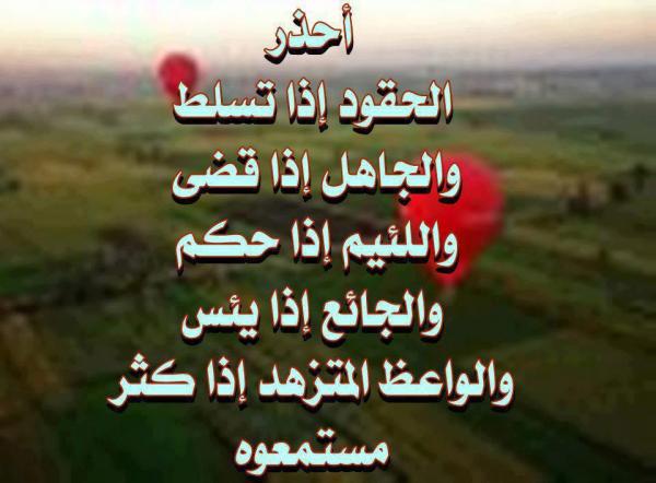 63683 175756629215387 833252247 n