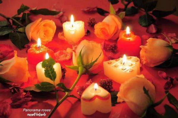 535692 186391194818597 565093497 n