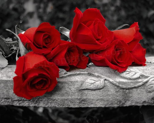 389662 401758093176584 1156355189 n