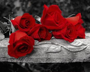 389662 401758093176584 1156355189 n