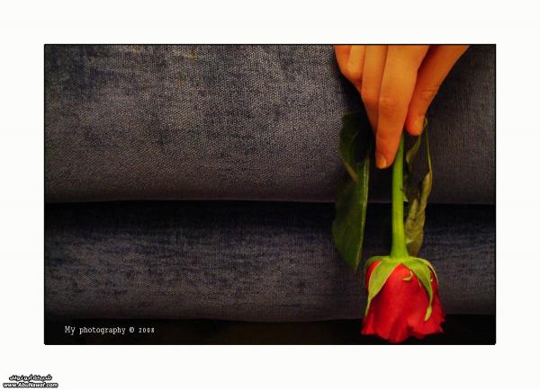 183 01249575738�����