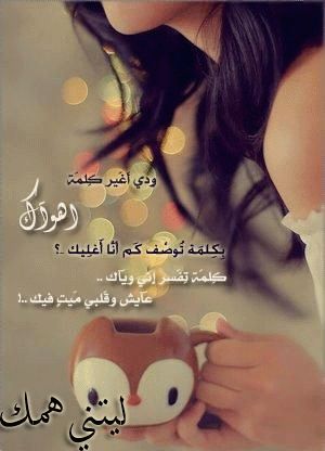 12527102441�����