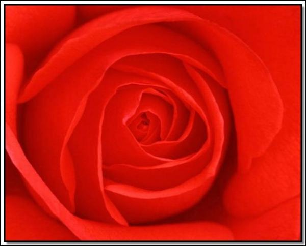 user45068 pic5658 1235491474