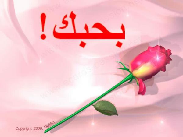 Uploads%5CCategory7%5CForum4%5Ci love you arabic egypt 2