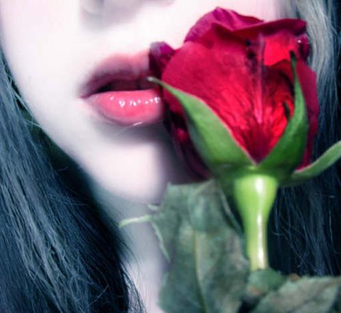 ����� �������