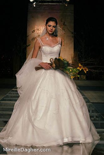 ����� ���� �����