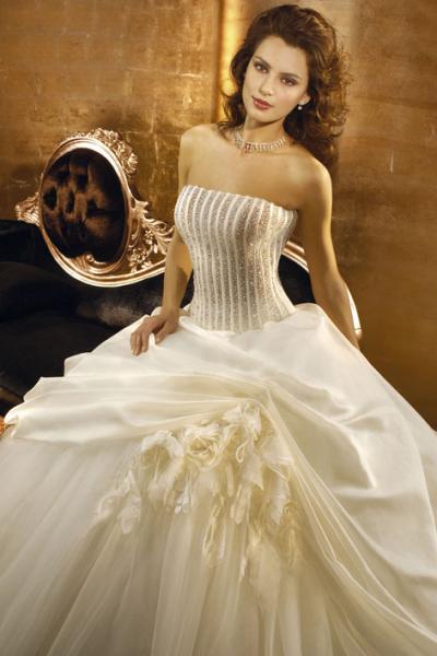 ����� ���� �����