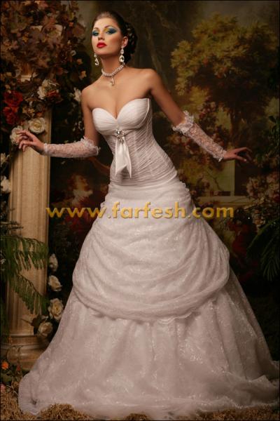 ���� �����