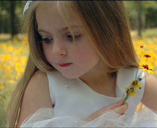 ���� �����