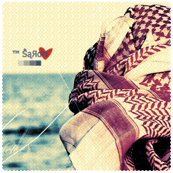 ������ �����