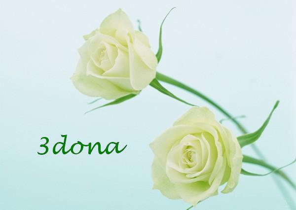 ���� ����