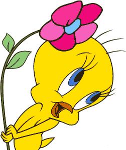tweety20birddw0