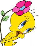 tweety20birddw0