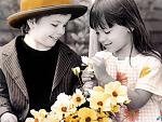 20070602233313253 3SL com