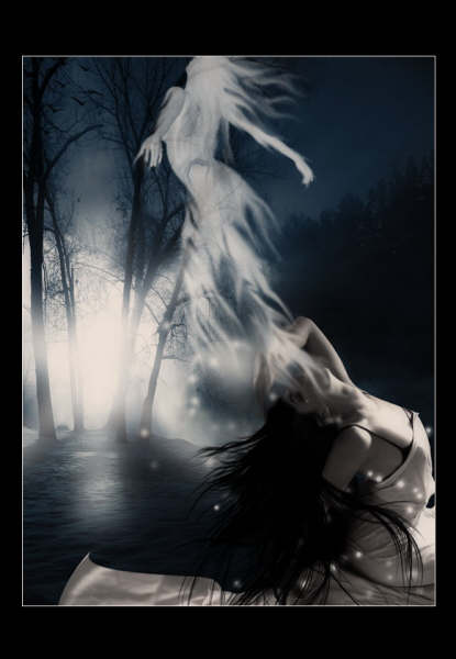 user24641 pic1337 1233546927